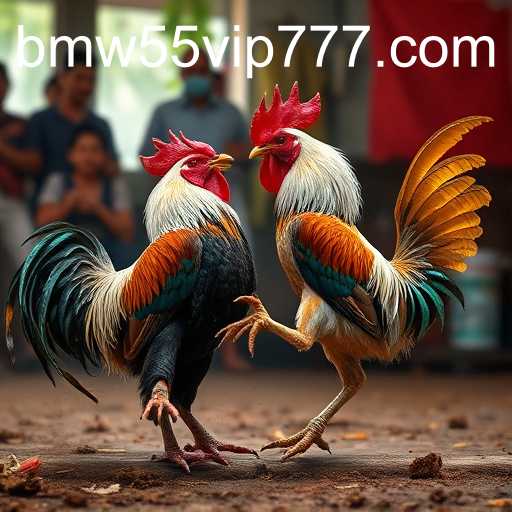 Exploring the Phenomenon of Online Sabong with BMW55 VIP